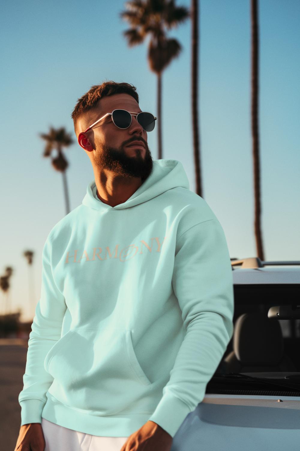 Men's Harmony Hoodie Sweatshirt